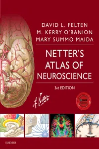 Netter's Atlas of Neuroscience E-Book_cover