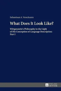 What Does It Look Like?_cover