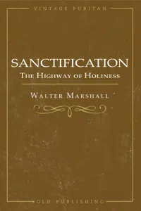 Sanctification; The Highway of Holiness_cover