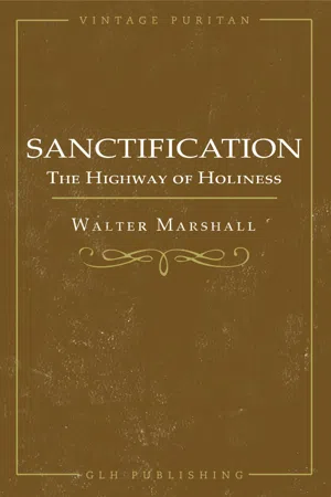 Sanctification; The Highway of Holiness