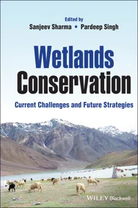 Wetlands Conservation_cover