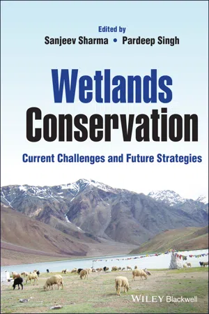 Wetlands Conservation