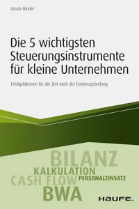 Die 5 wichtigsten Steuerungsinstrumente für kleine Unternehmen_cover