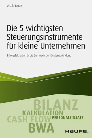 Die 5 wichtigsten Steuerungsinstrumente für kleine Unternehmen