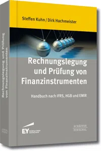 Rechnungslegung und Prüfung von Finanzinstrumenten_cover