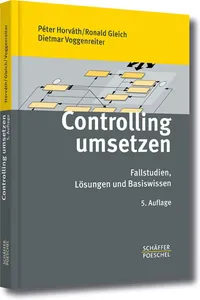 Controlling umsetzen_cover