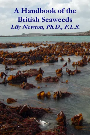 A Handbook of the British Seaweeds