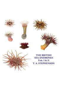 The British Sea Anemones_cover
