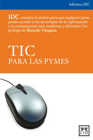 TIC para las PYMES