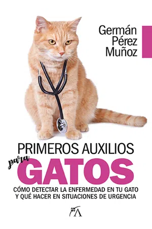 Primeros auxilios para gatos