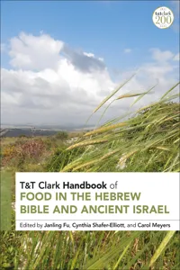 T&T Clark Handbook of Food in the Hebrew Bible and Ancient Israel_cover