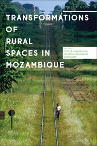 Transformations of Rural Spaces in Mozambique_cover