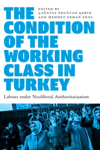 The Condition of the Working Class in Turkey_cover