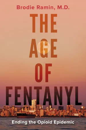 The Age of Fentanyl