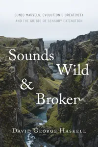 Sounds Wild and Broken_cover
