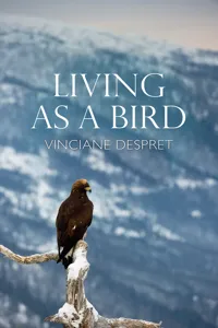 Living as a Bird_cover