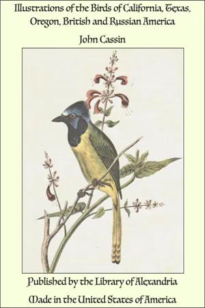 Illustrations of the Birds of California, Texas, Oregon, British and Russian America