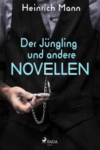 Der Jüngling und andere Novellen_cover