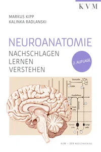 Neuroanatomie_cover