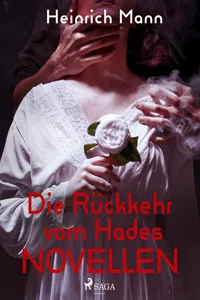 Die Rückkehr vom Hades - Novellen_cover