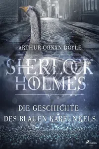 Die Geschichte des blauen Karfunkels_cover