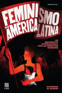 Feminismo para América Latina_cover