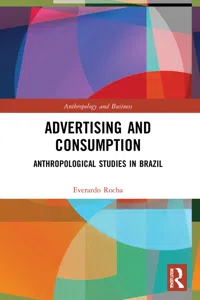 Advertising and Consumption_cover