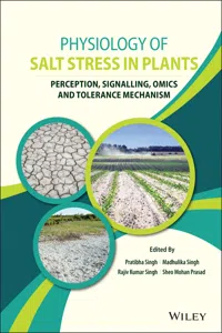 Physiology of Salt Stress in Plants_cover