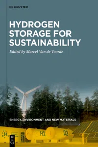 Hydrogen Storage for Sustainability_cover