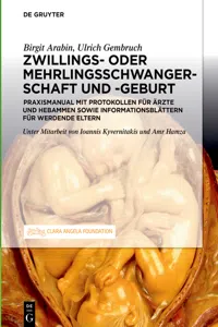 Schwangerschaft, Geburt und Wochenbett von Zwillingen und höhergradigen Mehrlingen_cover