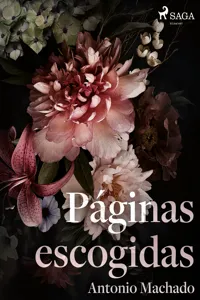 Páginas escogidas_cover