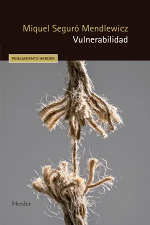 Vulnerabilidad