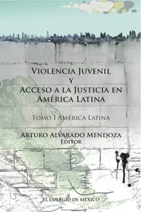 Violencia juvenil y acceso a la justicia._cover