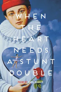 When the Heart Needs a Stunt Double_cover