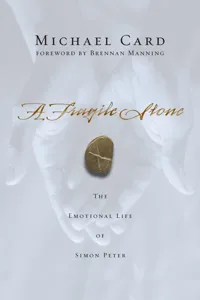 A Fragile Stone_cover