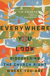 Everywhere You Look_cover