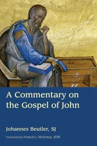 A Commentary on the Gospel of John_cover