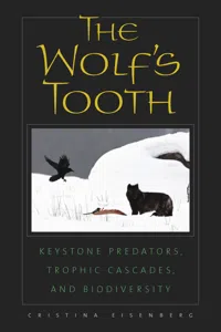 The Wolf's Tooth_cover