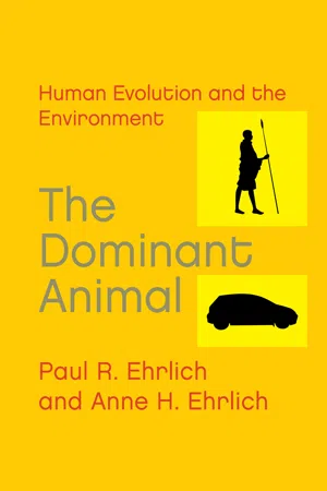 The Dominant Animal