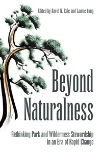 Beyond Naturalness_cover