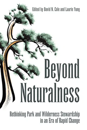 Beyond Naturalness