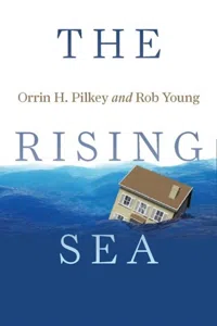 The Rising Sea_cover