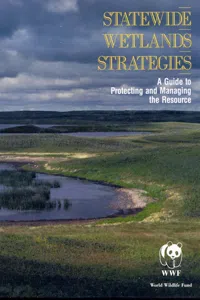 Statewide Wetlands Strategies_cover