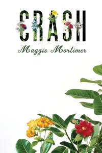 Crash_cover