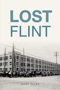 Lost Flint_cover