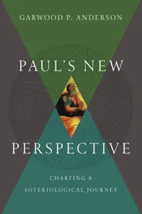 Paul's New Perspective_cover