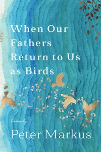 When Our Fathers Return to Us as Birds_cover
