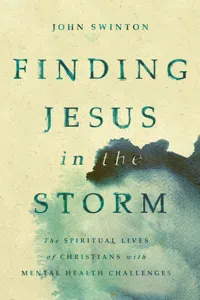 Finding Jesus in the Storm_cover