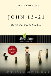 John 13-21_cover