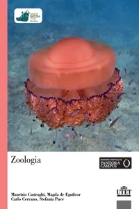 Zoologia_cover